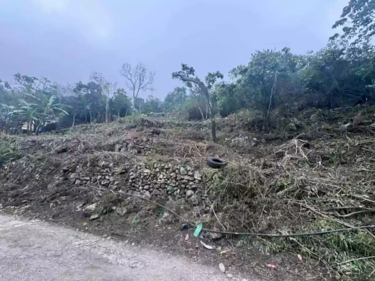 For Sale: 300 sqm Residential Lot in Poblacion, Tuba — Residential Lot in Tuba, Benguet, 2603 — Photo 2