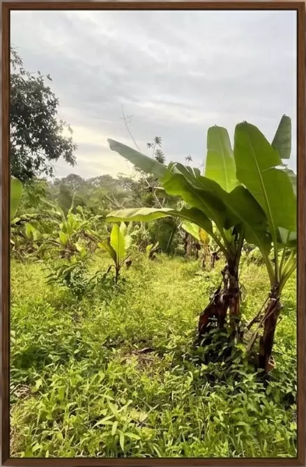 For Sale: Residential Lot in Balubad, Silang, Cavite — 45,000,000 sqm — Residential Lot in Silang, Cavite, 4118 — Photo 4
