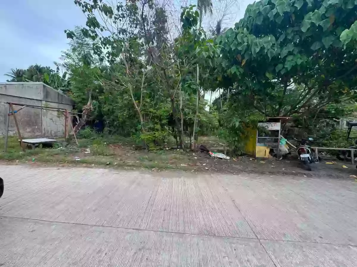 For Sale: Commercial Lot in Poblacion, Zamboanguita — 626 sqm — Commercial Lot in Zamboanguita, Negros Oriental, 6218 — Photo 3
