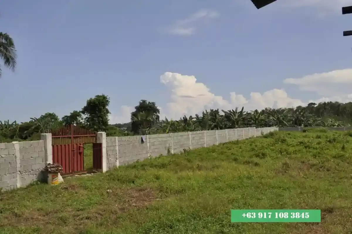 2,000 SQM Prime Industrial Lot for Sale Malagamot Road, Indangan, Buhangin District, Davao City — Industrial Lot in Indangan, Davao City, Davao del Sur — Photo 7