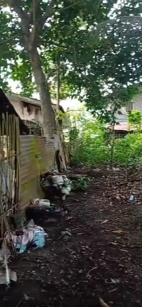 For Sale: 3BR House and Lot in Cannery Site, Polomolok — 839 sqm — House and Lot in Cannery Site, Polomolok, South Cotabato — Photo 5