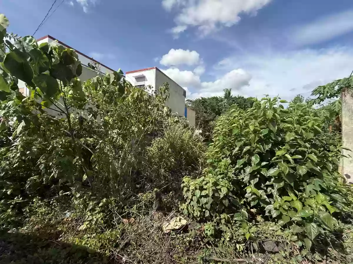 For Sale: Agricultural Lot in San Felipe, Naga City — 600 sqm