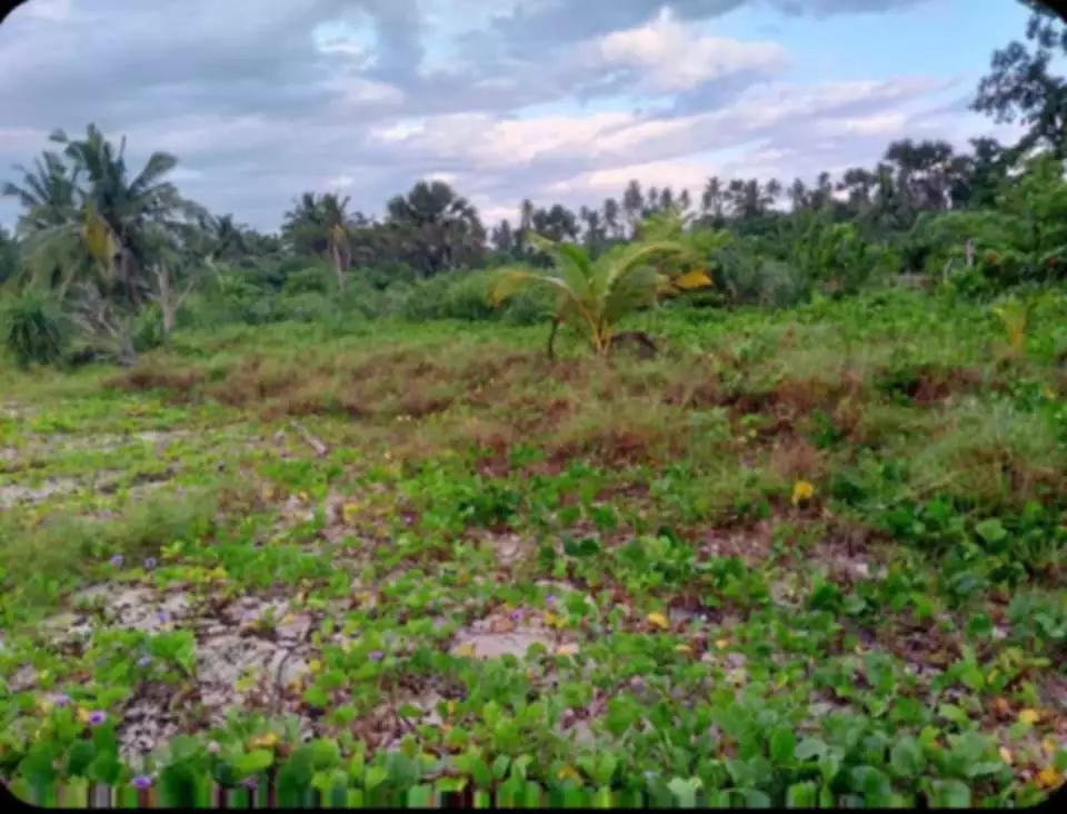For Sale: Beach Lot in Salvacion, Roxas — 30,661 sqm — Beach Lot in Roxas, Palawan, 5308 — Photo 3