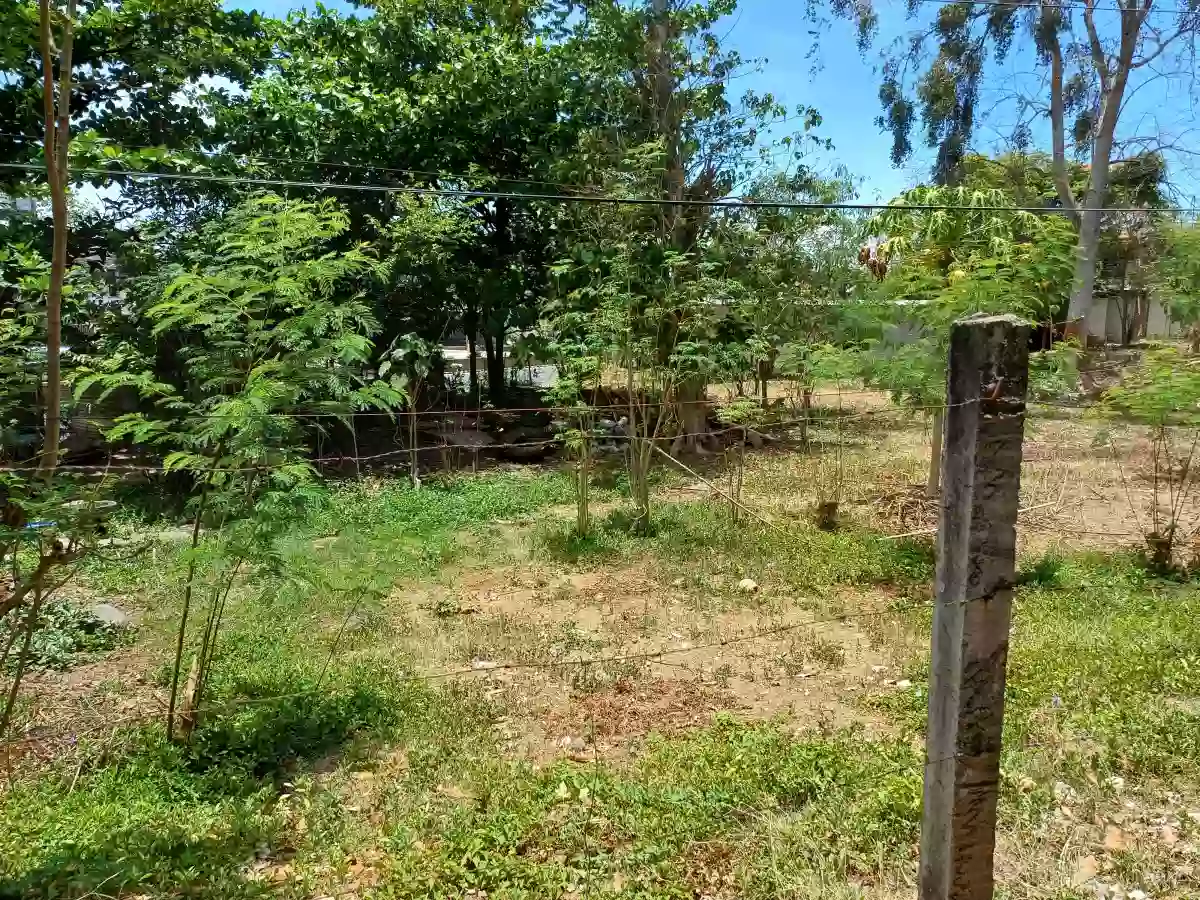 Commercial Prime Location Lot, Bulua . — Commercial Lot in Cagayan de Oro City, Misamis Oriental, 9000 — Photo 4