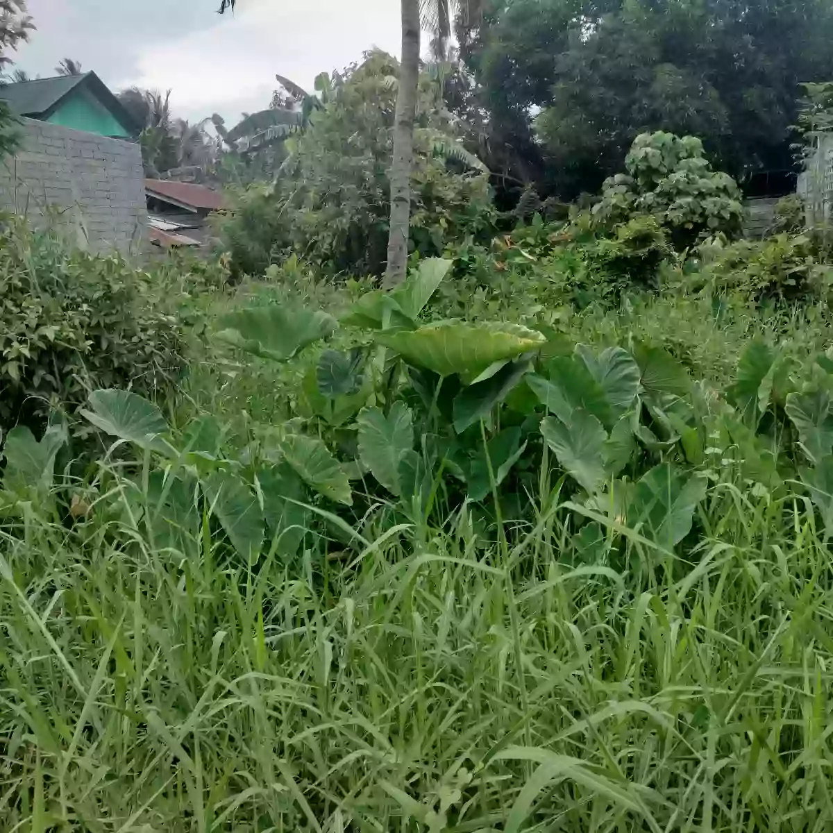 Lot for Sale at Hicban Near Malls at General Santos City — Residential Lot in Lagao (1st & 3rd), Gen. Santos City, South Cotabato — Photo 3