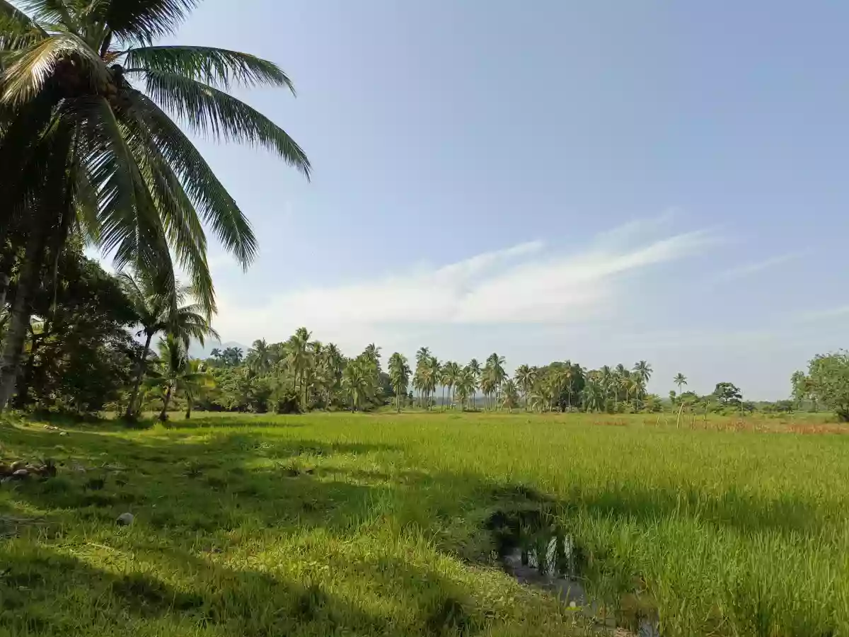 Open photo 18 of 18 — For Sale: Beach Lot in Aramaywan, Quezon, Palawan — 29955 sqm