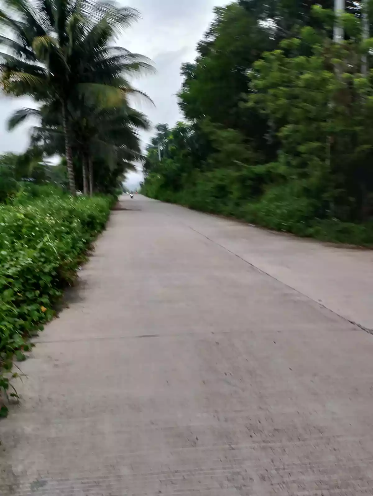 For Rent: Agricultural Lot in Upper Klinan, Polomolok — 10000 sqm — Agricultural Lot in Polomolok, South Cotabato, 9504 — Photo 3