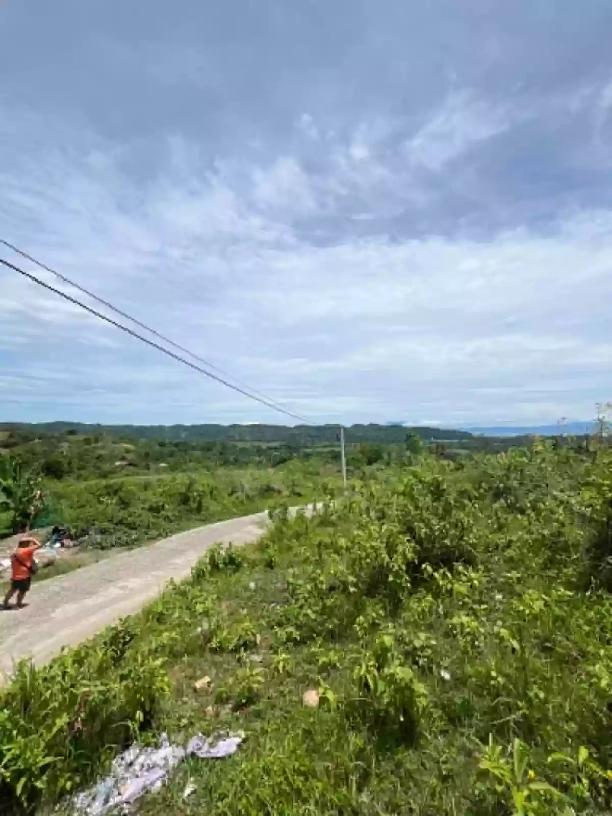 1.9 Hectare Agricultural Lot for Sale in Toledo — Agricultural Lot in Toledo City, Cebu, 6038 — Photo 5