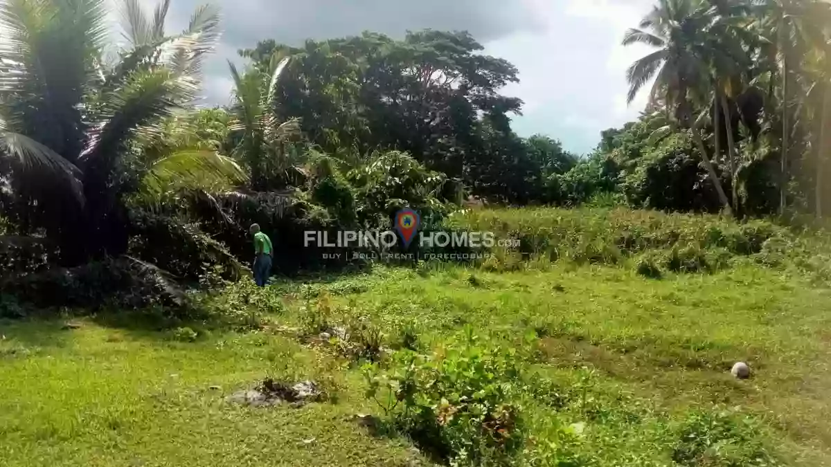 For Sale: Residential Lot in Sadaan, Midsayap — 375 sqm — Residential Lot in Midsayap, Cotabato, 9410 — Photo 5