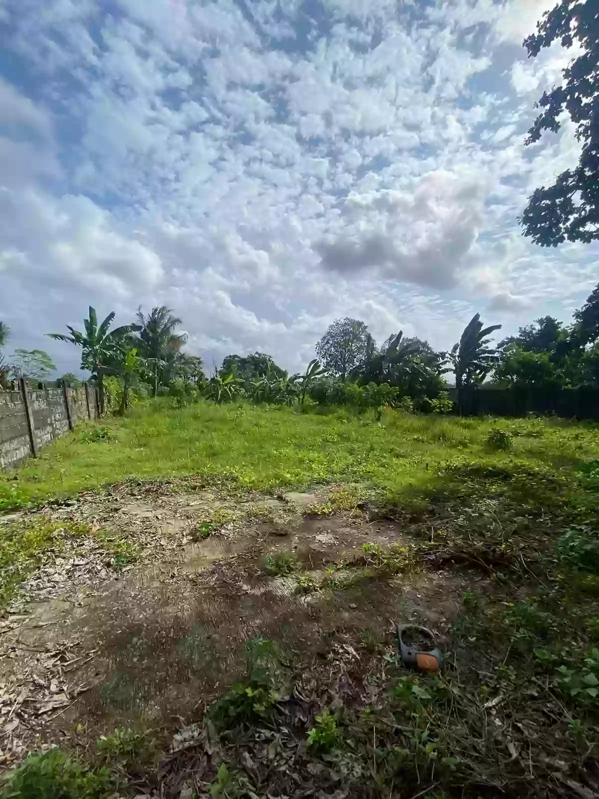 Rush Sale: 2000 sqm Agricultural Lot in Indangan, Davao City — Agricultural Lot in Indangan, Davao City, Davao del Sur — Photo 3