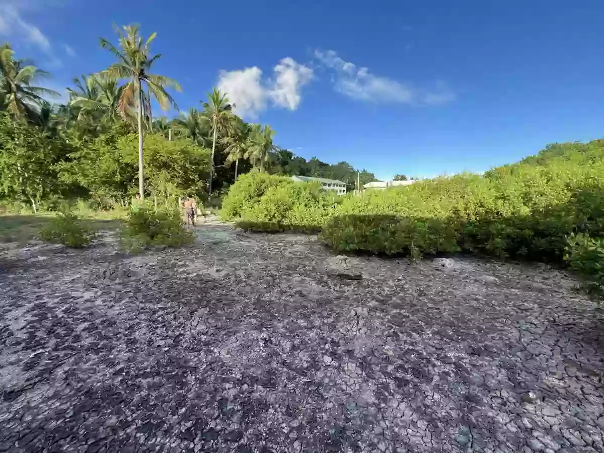 Titled Beach Lot in Santander Cebu — Beach Lot in Santander, Cebu, 6026 — Photo 3