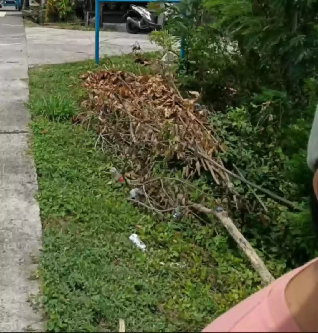 Commercial and Residential Lot for Sale! — Agricultural Lot in Cagmanaba, Ocampo, Camarines Sur — Photo 4