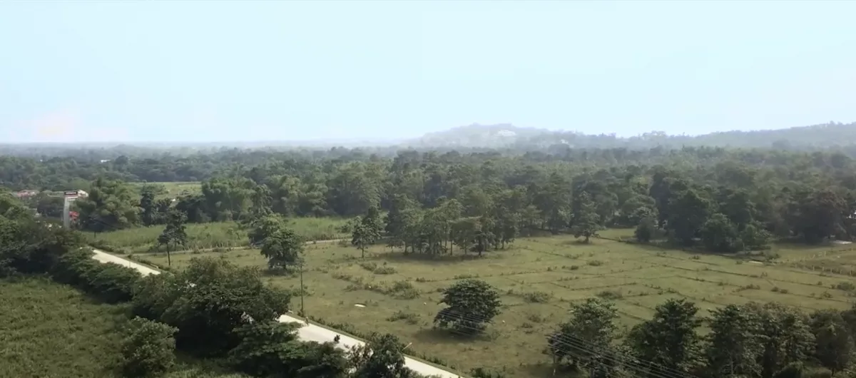 For Sale: Agricultural Lot in Tagburos, Puerto Princesa City — 292,567 sqm