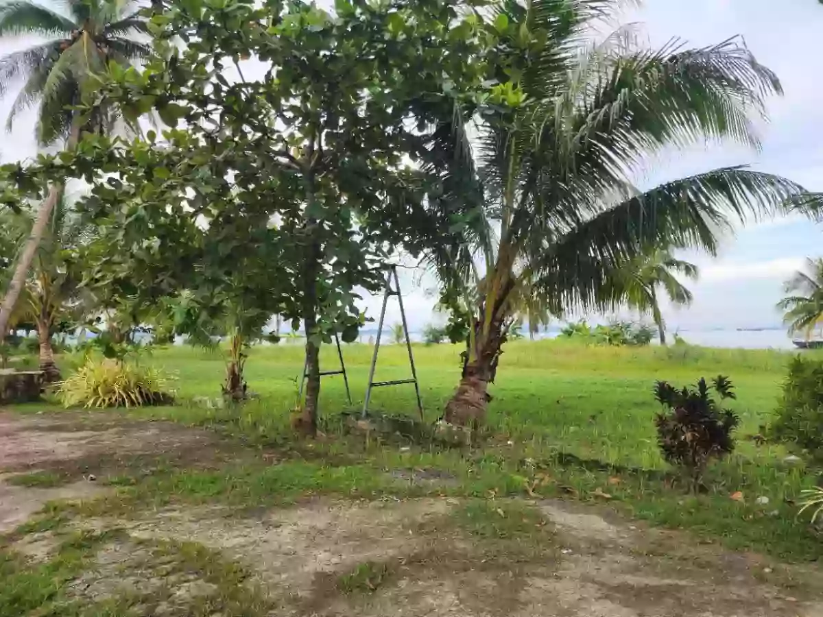 For Sale: Beach Lot in Lipata, Surigao City — 4027 sqm — Beach Lot in Surigao City, Surigao del Norte, 8400 — Photo 4