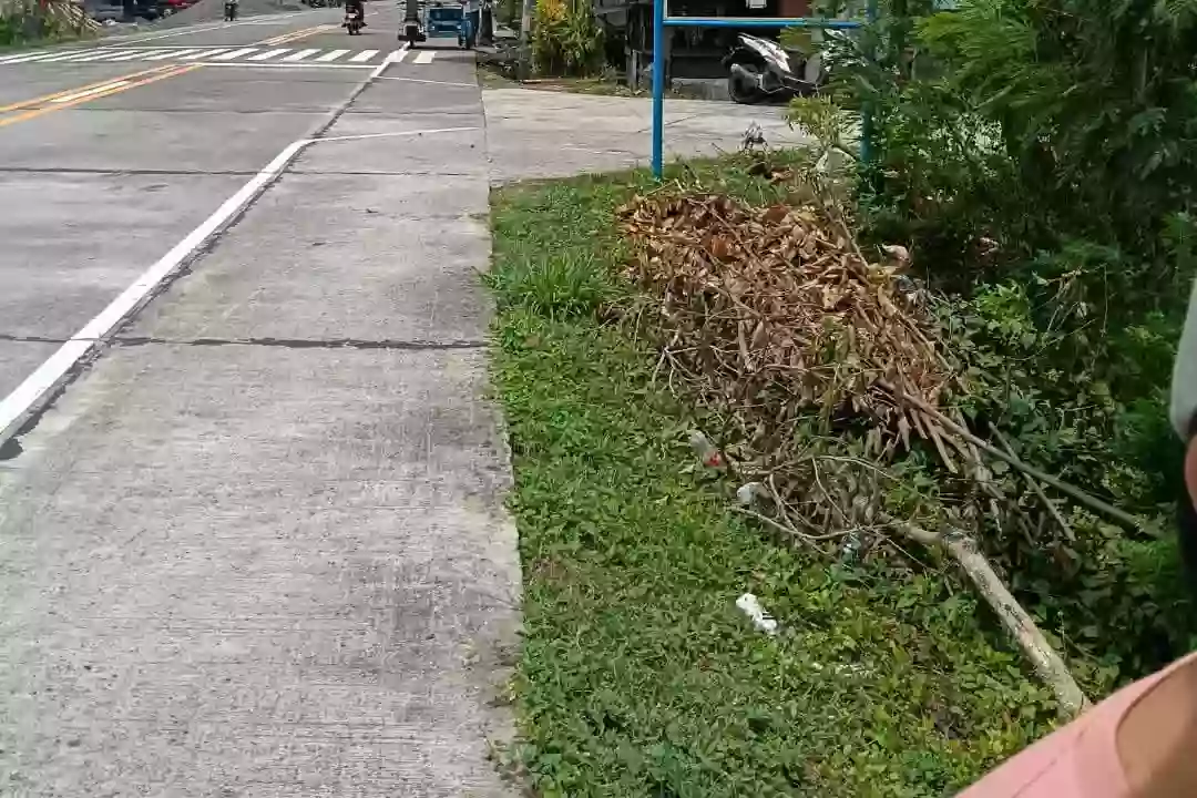 Commercial and Residential Lot for Sale!