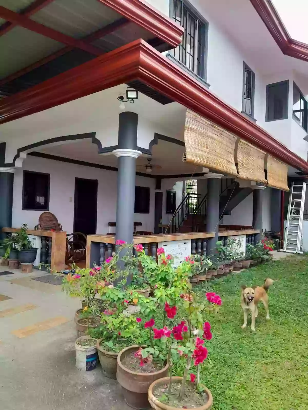 HOUSE AND LOT FOR SALE!!!! — House and Lot in Catalunan Grande, Davao City, Davao del Sur — Photo 4