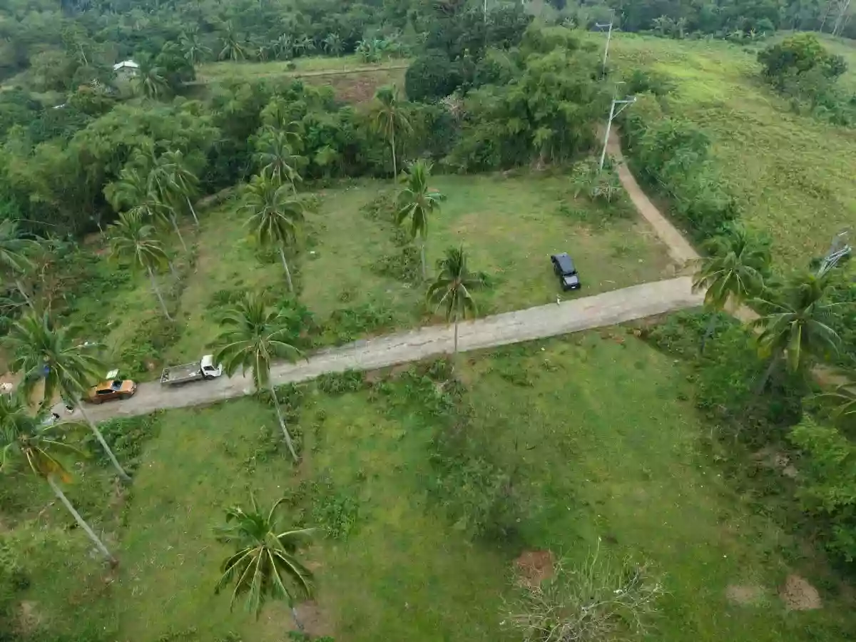For Sale: Agricultural Lot Near Twin Lakes, Magallanes — 3.2 Hectares — Agricultural Lot in Magallanes, Cavite, 4113 — Photo 6
