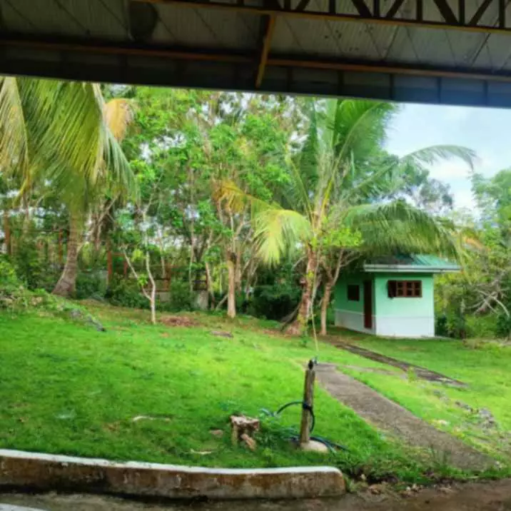 Overlooking House and Lot - photo 4