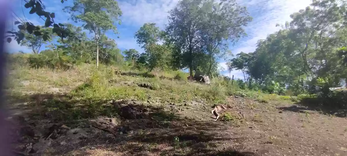 For Sale: Agricultural Lot in Conel, Gen. Santos City — 45987 sqm — Agricultural Lot in General Santos City, South Cotabato, 9500 — Photo 4