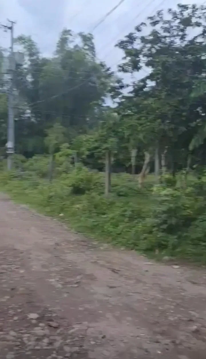 For Sale: Residential Lot Near Bacong Rural Health Unit, Bacong — 500 sqm — Residential Lot in Barangay Hall, Combado, Bacung — Photo 2