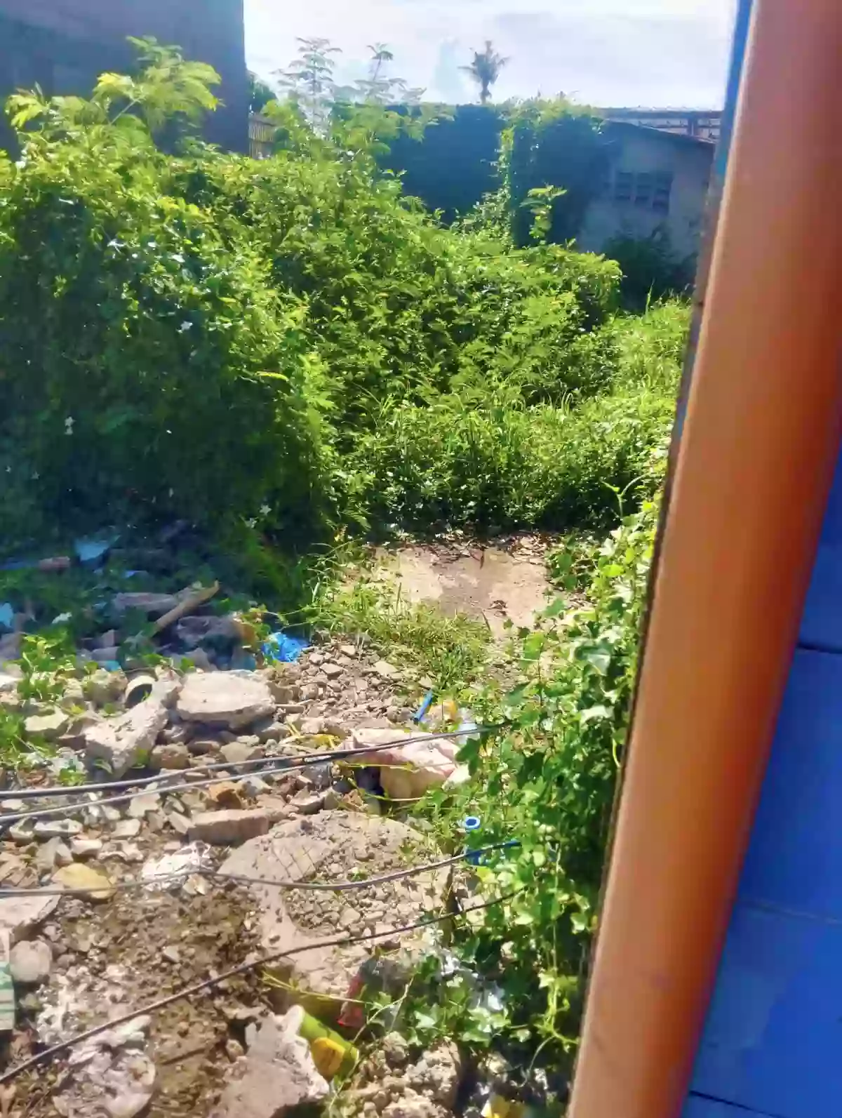 π¨ RUSH SALE COMMERCIAL LOT IN SRP! π¨ β Commercial Lot in Mambaling, Cebu City, Cebu β Photo 6