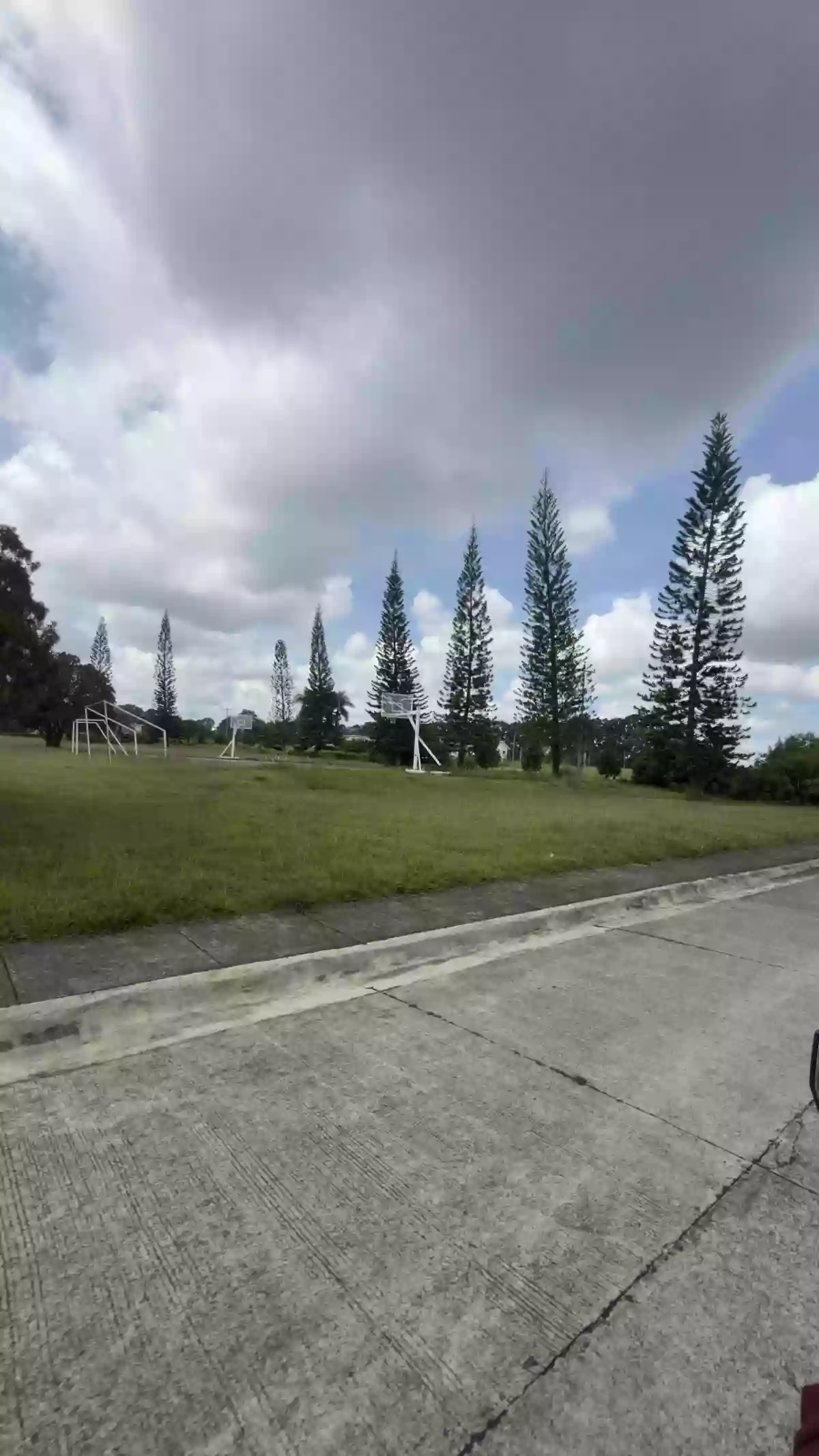 For Sale Menzi Orchard : Residential Lot in Damilag, Manolo Fortich — 524 sqm — Residential Lot in Manolo Fortich, Bukidnon, 8703 — Photo 5