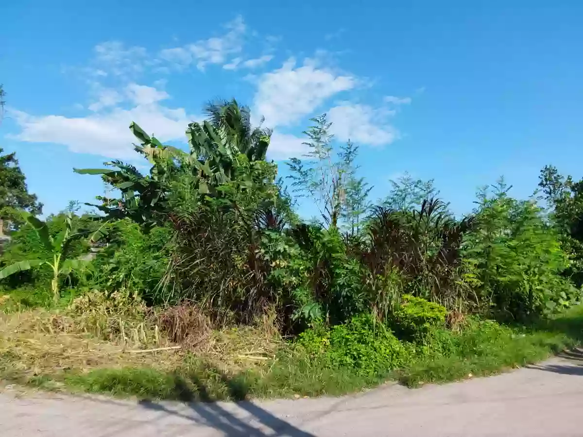 For Sale: Residential Lot in San Isidro, General Santos City — 300 sqm corner lot — Residential Lot in General Santos City, South Cotabato, 9500 — Photo 3