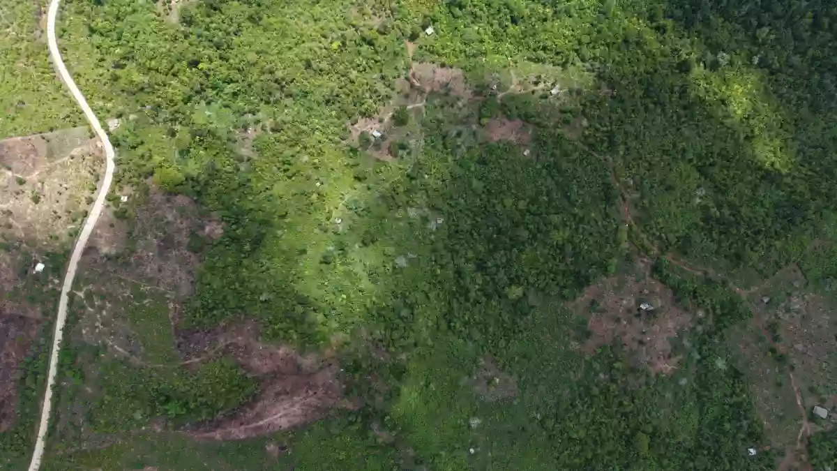 AGRICULTURAL LAND FOR SALE AT PUERTO PRINCESA CITY PALAWAN — Agricultural Lot in Puerto Princesa City, Palawan, 5300 — Photo 3