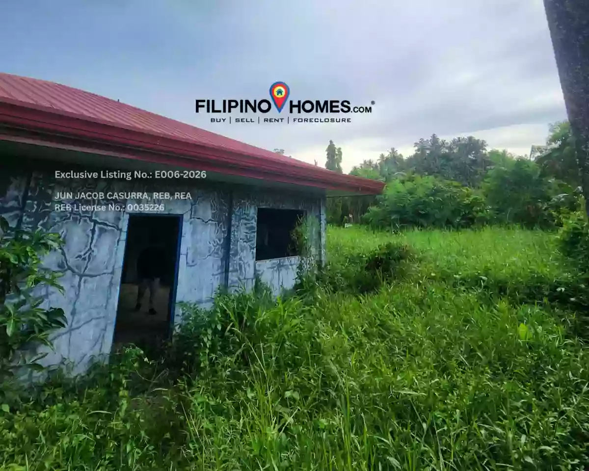 Lot For Sale in Togbongon, Surigao City — Investor Land — Agricultural Lot in Surigao City, Surigao del Norte, 8400 — Photo 4