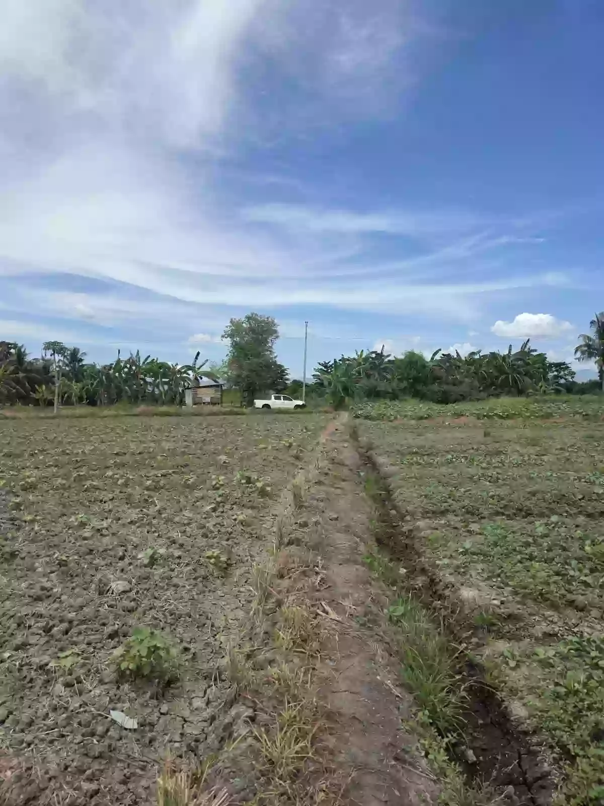 Two  Adjacent Residential Lots of 1,198sqm each for Sale — Residential Lot in General Santos City, South Cotabato, 9500 — Photo 5