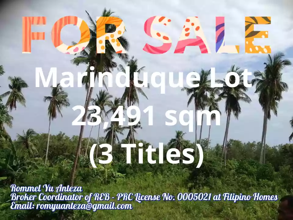 For Sale: 23491 sqm Agricultural Lot in Alobo, Santa Cruz