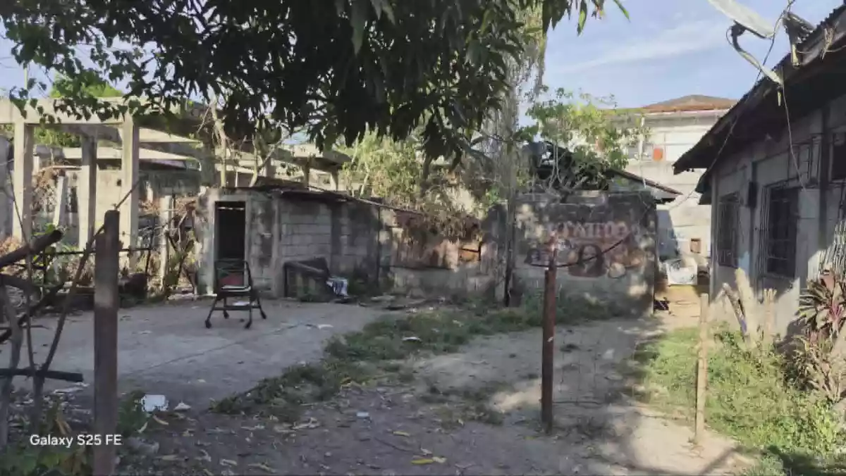 For Sale: Commercial Lot in Taclobo, Dumaguete City — 257 sqm — Commercial Lot in Taclobo, Dumaguete City, Negros Oriental — Photo 4