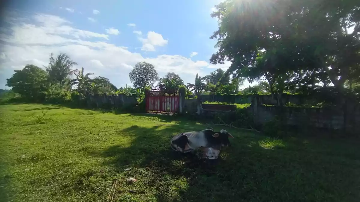 2,000 SQM Prime Industrial Lot for Sale Malagamot Road, Indangan, Buhangin District, Davao City — Industrial Lot in Indangan, Davao City, Davao del Sur — Photo 4