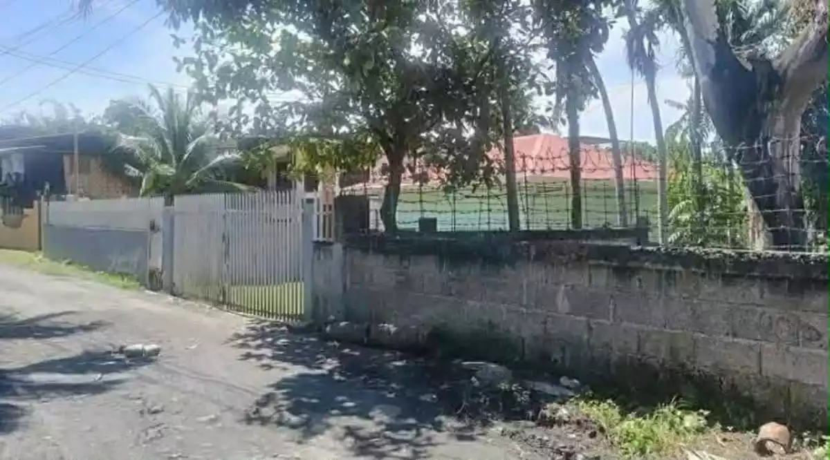 LINAO TALISAY LOT FOR SALE — Residential Lot in Talisay City, Cebu, 6045 — Photo 2