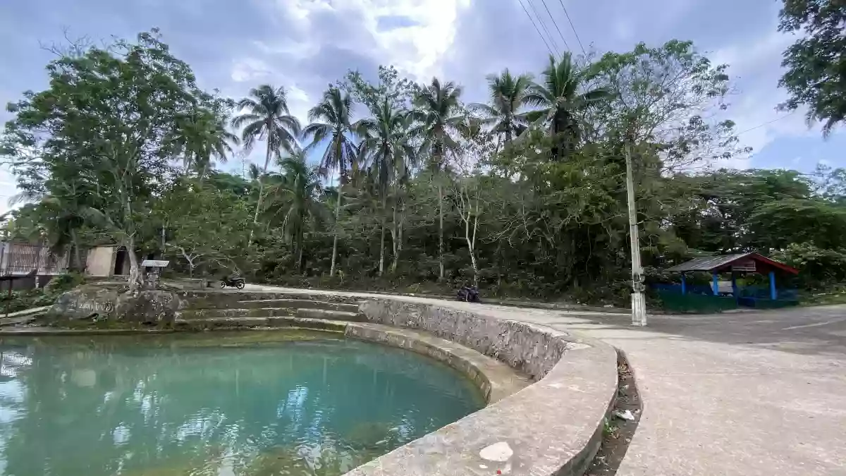 Lot For Sale in Campagao, Bilar, Bohol — Residential Lot in Loay Interior Road, Campagao, Bilar — Photo 2