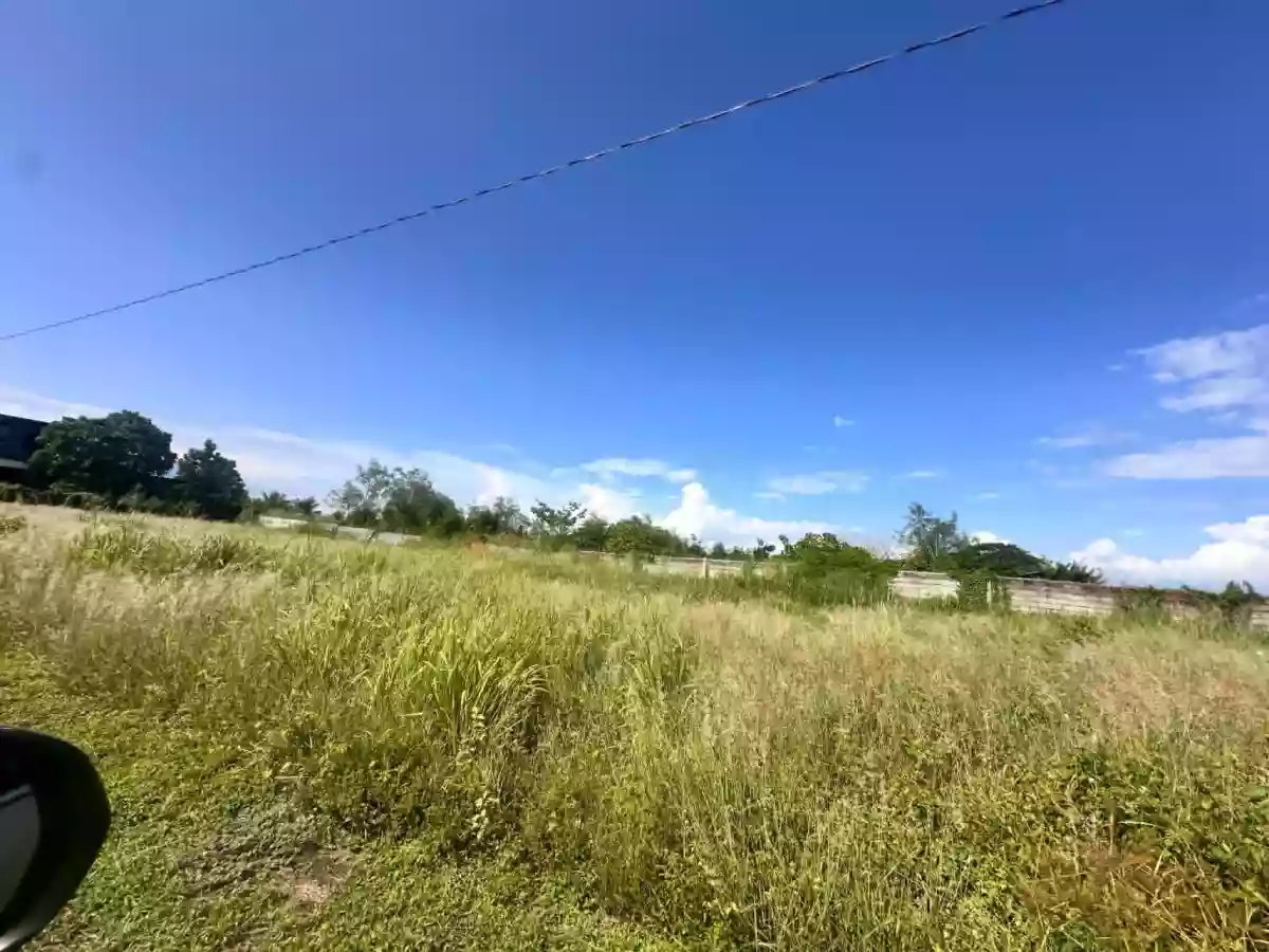 For Sale: Primeland Subd. Residential Lot in Mabuhay, General Santos City — Investment — Residential Lot in Mabuhay, General Santos City, South Cotabato — Photo 6