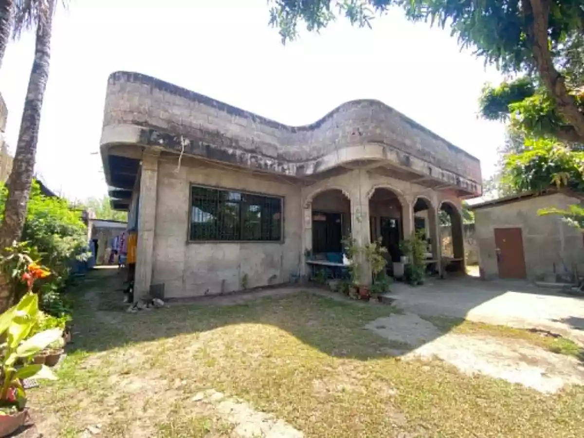 For Sale: 4BR House and Lot in Bolocboloc, Sibulan — 462 sqm lot