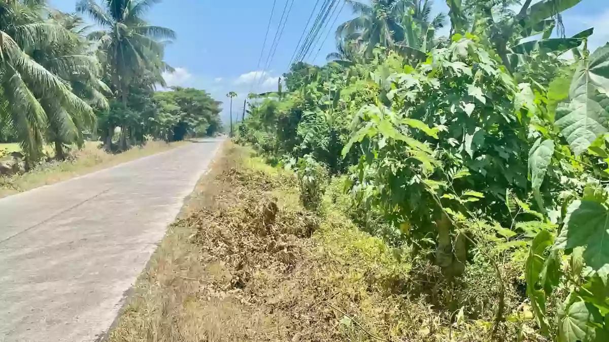 For Sale: Agricultural Lot in Lower Glad, Midsayap — 20005 sqm — Agricultural Lot in Midsayap, Cotabato, 9410 — Photo 4