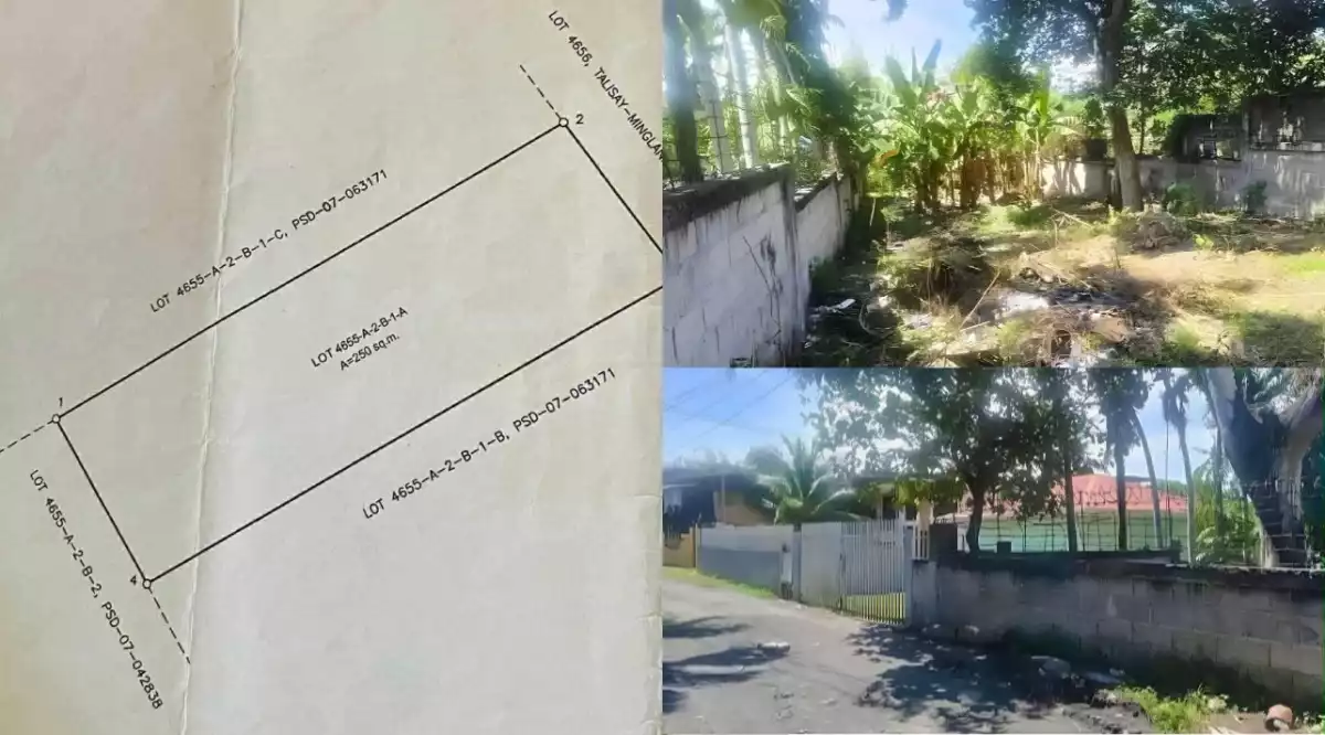 For Sale: Residential Lot in Linao, Talisay City — 250 sqm