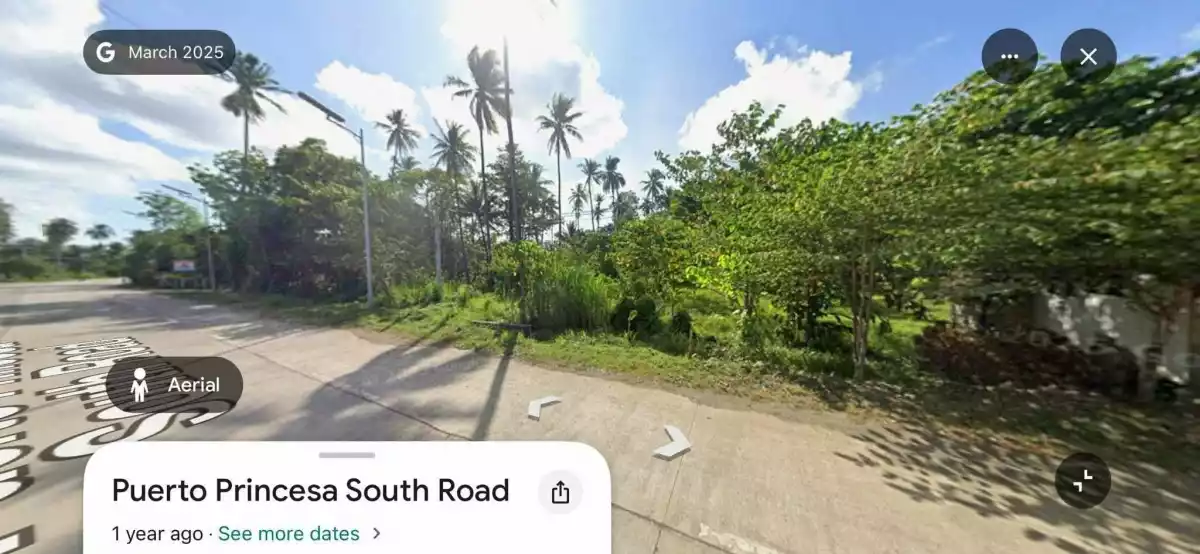 For Sale: Agricultural Lot in Tubtub, Brooke’s Point — 4,149 sqm