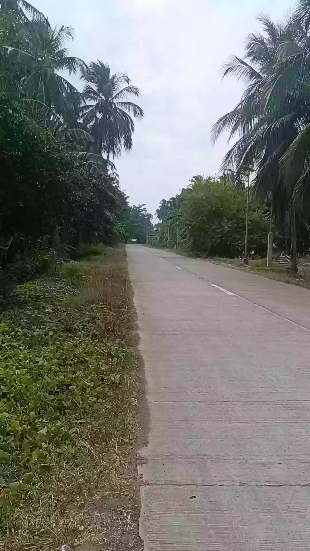 Open photo 12 of 12 — For Sale: Agricultural Lot in Bobon, Mati — 54,432 sqm
