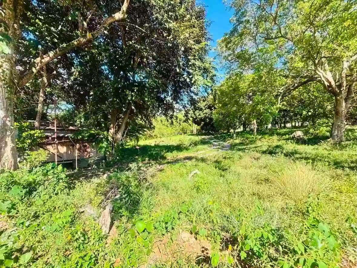 For Sale: Commercial Lot in Bulua, Cagayan de Oro City — 24245 sqm — Commercial Lot in Cagayan de Oro City, Misamis Oriental, 9000 — Photo 4