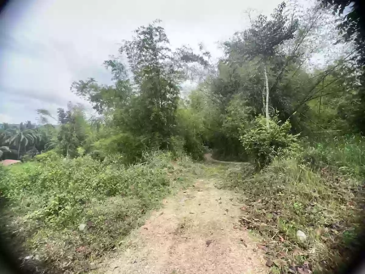 For Sale Agricultural Lot in Panubtuban, Dauin — 1755 sqm — Agricultural Lot in Panubtuban, Dauin, Negros Oriental — Photo 5