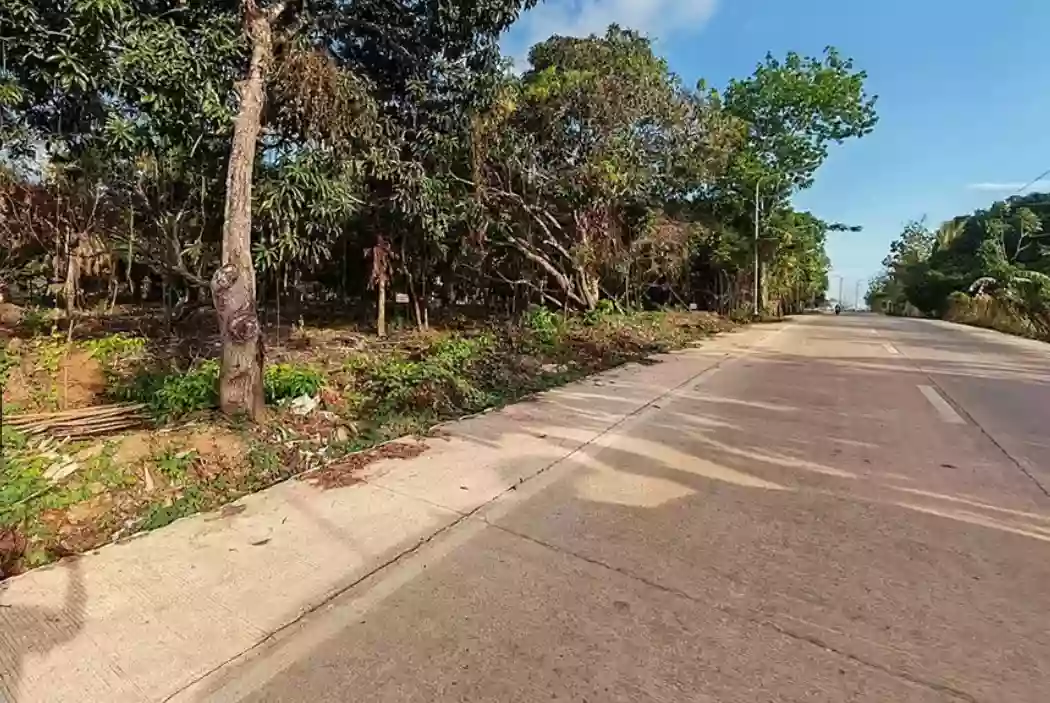 EXCLUSIVE DIRECT LISTING: PRIME HILLTOP LOT in STA. MONICA, PUERTO PRINCESA PALAWAN — Residential Lot in Puerto Princesa City, Palawan, 5300 — Photo 4