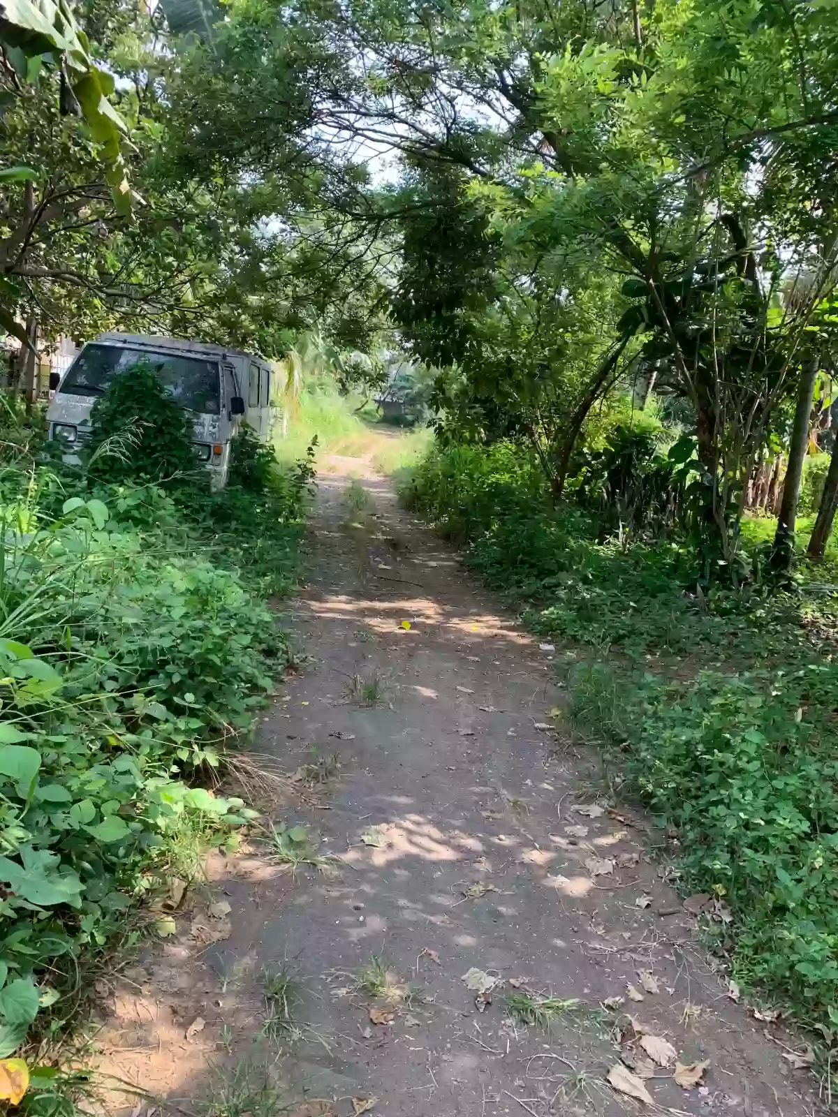 For Sale: Residential Lot in Catalunan Grande, Davao City — 532 sqm — Residential Lot in Catalunan Grande, Davao City, Davao del Sur — Photo 2
