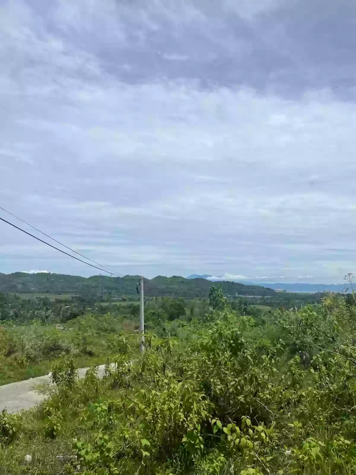 1.9 Hectare Agricultural Lot for Sale in Toledo