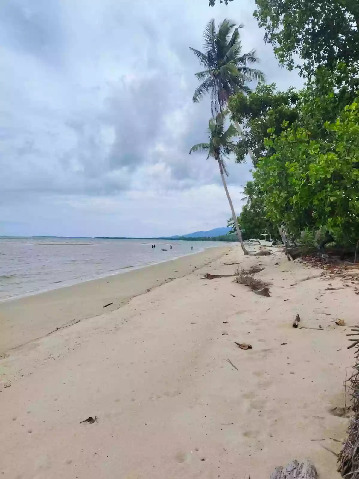 For Sale: Beach Lot in Salvacion, Roxas — 10,000 sqm — Beach Lot in Roxas, Palawan, 5308 — Photo 2