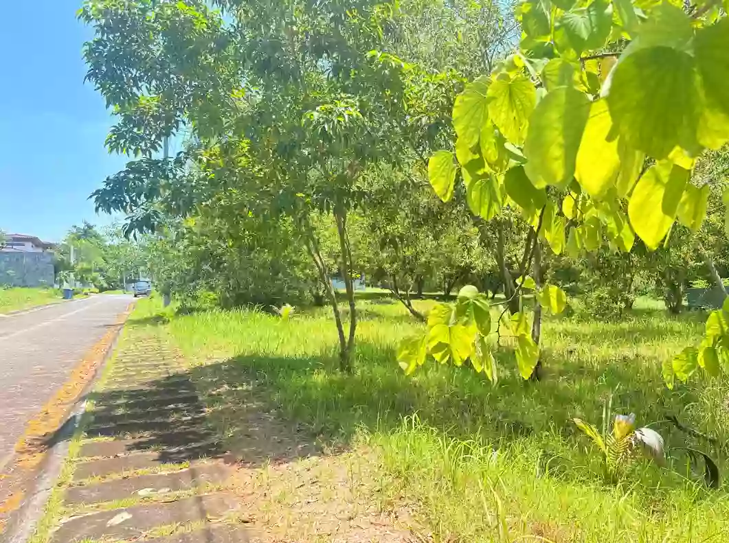For Sale: Premium Residential Lot in Northcrest, Buhangin, Davao City — 755 sqm — Residential Lot in Davao City, Davao del Sur, 8000 — Photo 5