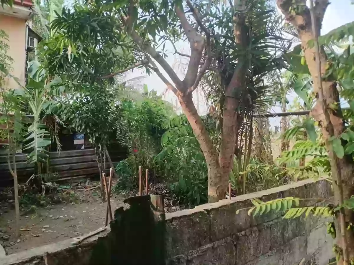 For Sale: 2BR House and Lot in Paliparan III, Dasmarinas — 98 sqm — House and Lot in Paliparan III, Dasmarinas, Cavite — Photo 3