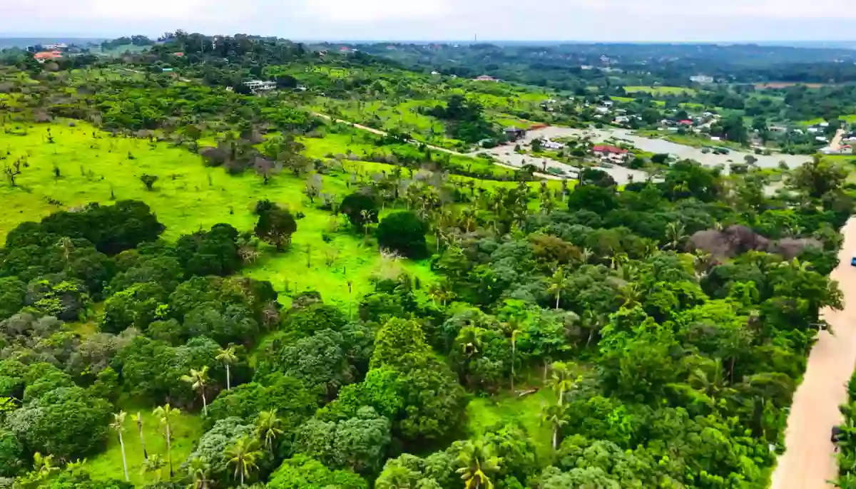 EXCLUSIVE DIRECT LISTING: PRIME HILLTOP LOT in STA. MONICA, PUERTO PRINCESA PALAWAN — Residential Lot in Puerto Princesa City, Palawan, 5300 — Photo 3